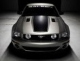 /album/mustangy/ddddddd-jpg/